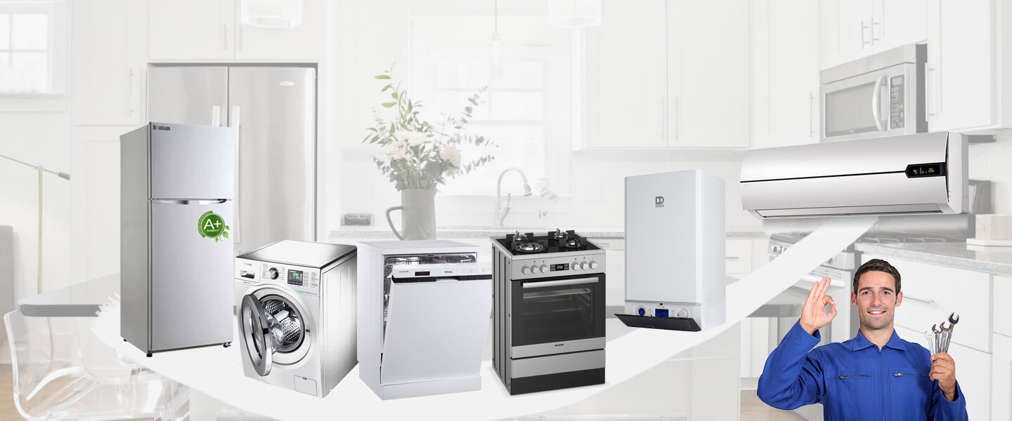 Manyas Warmhaus Servisi